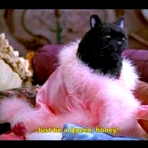 Meet your Posher, GayLynn💜🩷 - Picture 1 of 1